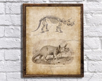 Imagen de Triceratops - lámina imprimible de dinosaurio - decoración de pared para habitación infantil con temática de dinosaurios - decoración de pared de dinosaurios - Descarga instantánea Lámina de Triceratops n.° 4