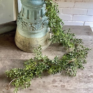 6’ Boxwood Garland, Spring Garland, New England Boxwood Mantle Garland, Everyday Floral Accent Decor Greenery