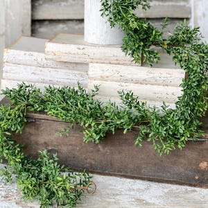 6’ Boxwood Garland, Spring Garland, New England Boxwood Mantle Garland, Everyday Floral Accent Decor Greenery, Artificial Garland