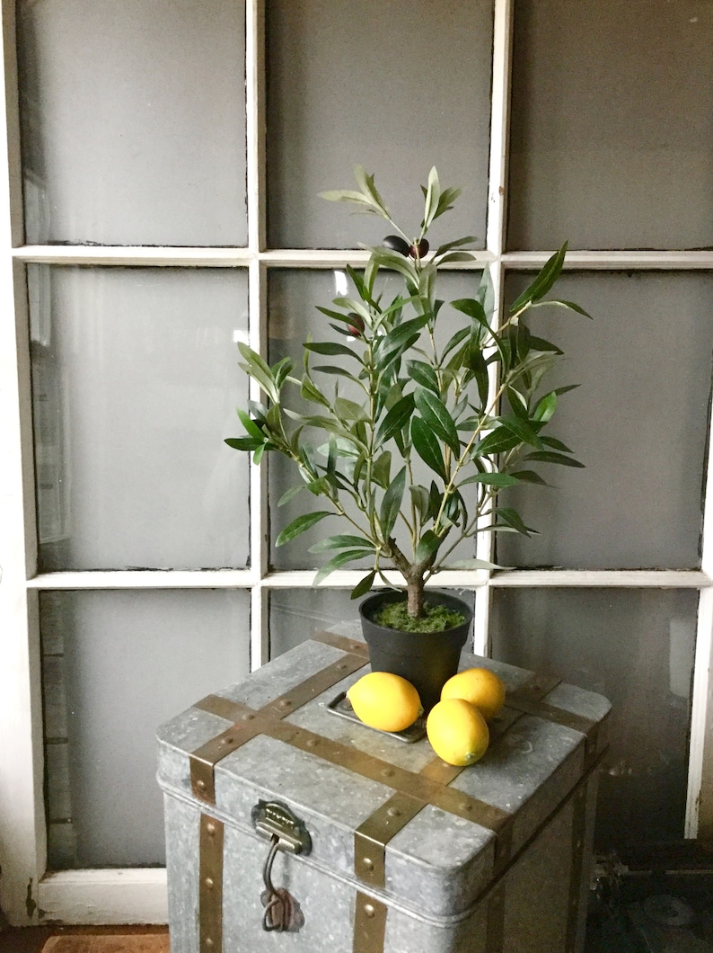 Artificial Olive Tree Tabletop Potted Olive Tree Faux Olive Etsy