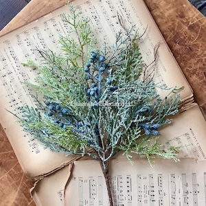 May include: A faux evergreen stem with blue berries and frosted green foliage. The stem is set against a backdrop of vintage sheet music, creating a rustic and natural aesthetic. The text "Blessing Art & Decor LLC" is visible.