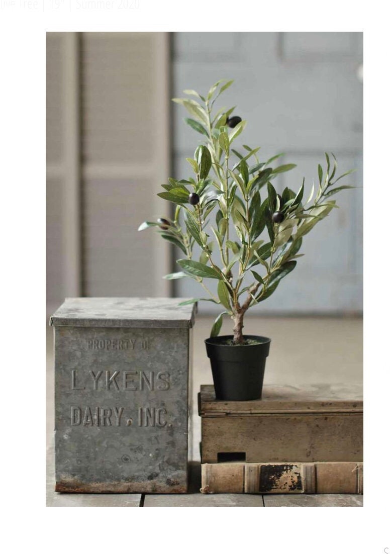 Artificial Olive Tree Tabletop Potted Olive Tree Faux Olive Etsy