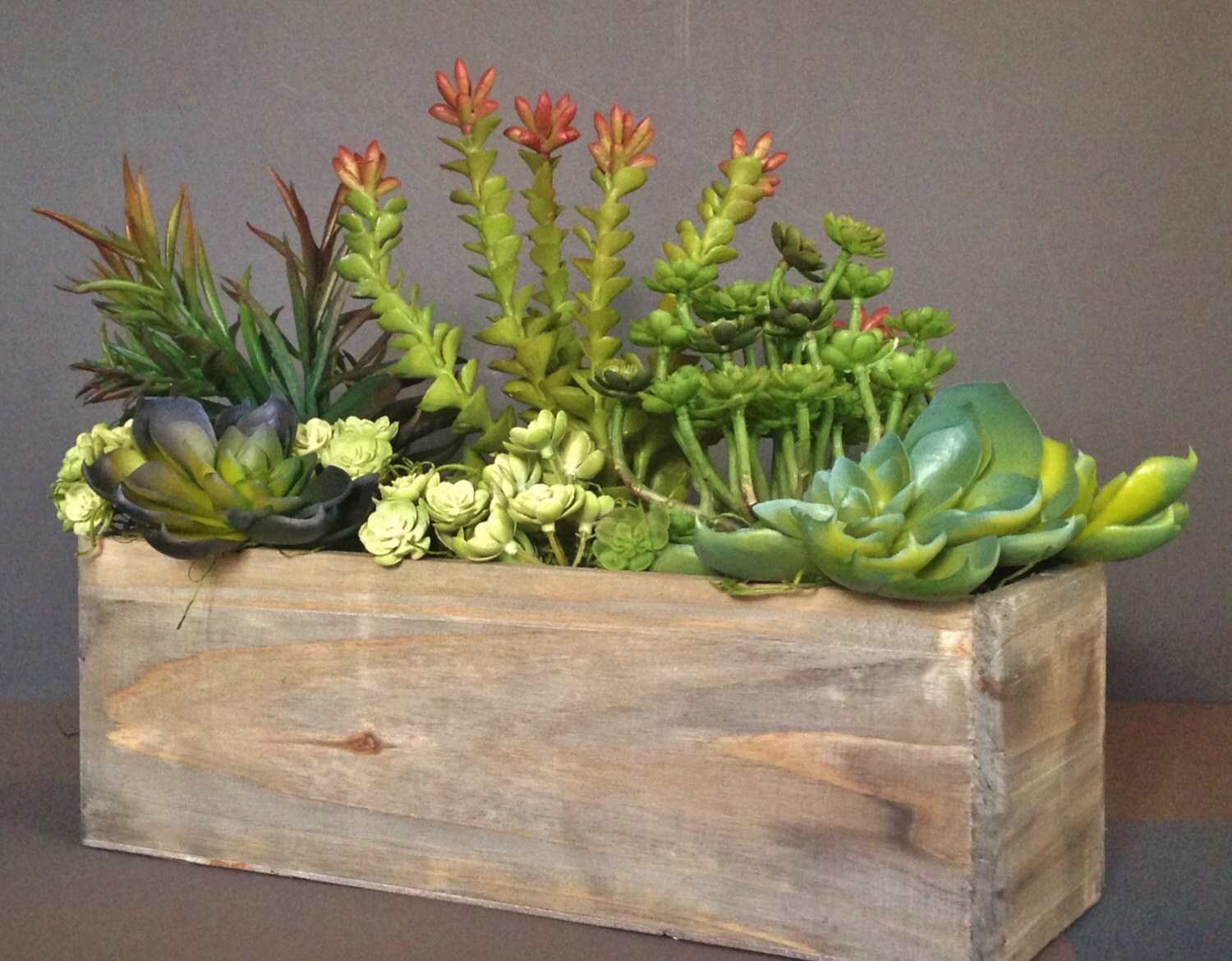 MOST POPULAR Cedar Wood Succulent Planter Box Rustic | Etsy