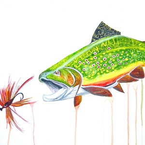 Brook Trout Watercolor Print