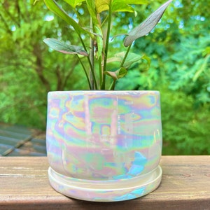 PREORDER* White mother of pearl rainbow aura planter