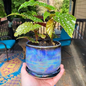 PRE ORDER blue and black iridescent planter