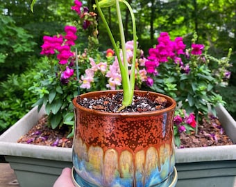 PREORDER* Copper and turquoise planter