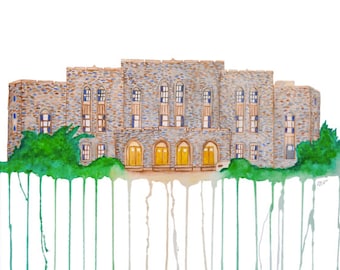 Cameron Indoor Stadium 17x12"