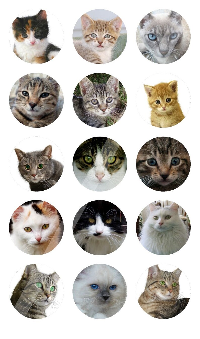 Cats Bottlecap Images Digital Images for Bottle Cap Pendants Etsy