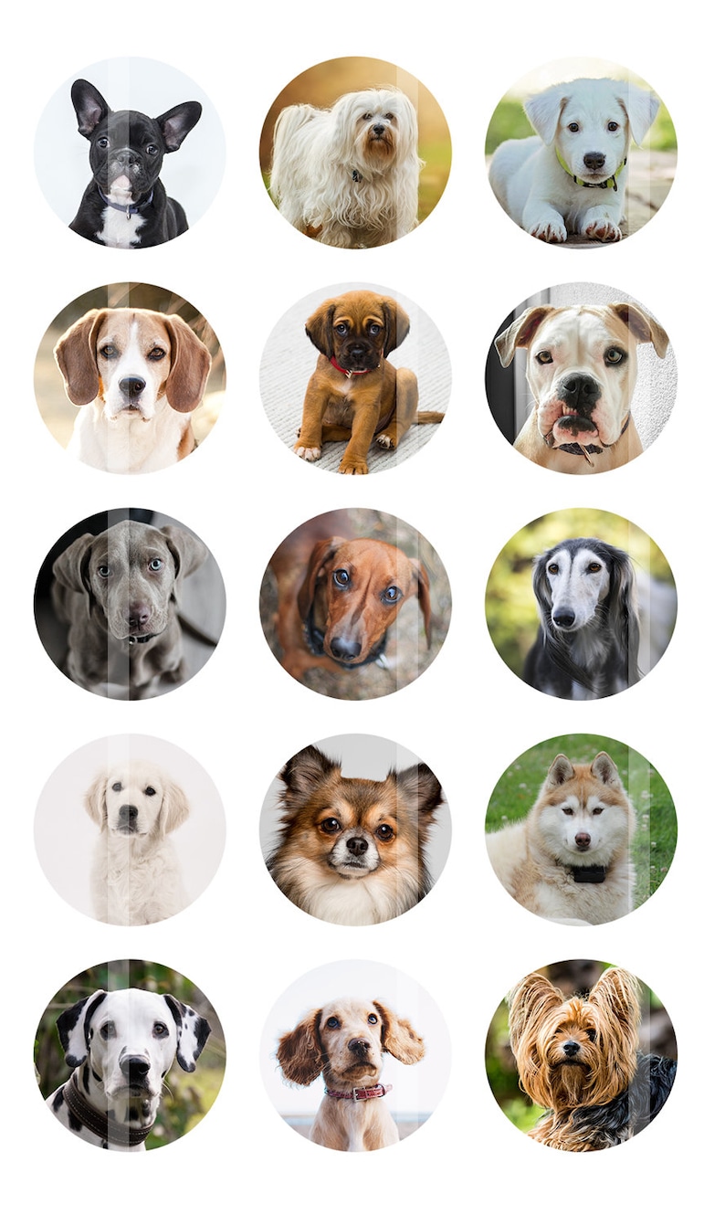 Dogs Bottlecap Images Digital Images for Bottle Cap Pendants Etsy