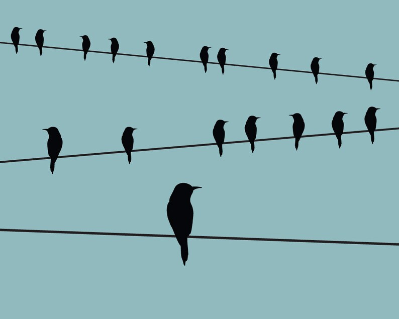 alfred hitchcock film poster the birds the birds poster print minimalist movie poster The Birds film poster A3A4 movie poster