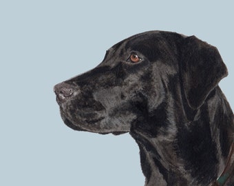 Print of Black Labrador dog from an original watercolour painting