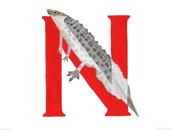 10 'N is for Newt' A6 notecards with envelopes. From animal alphabet artwork. Eco-friendly.