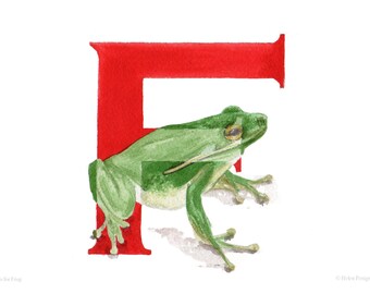 10 'F is for Frog' A6 notecards with envelopes. From animal alphabet artwork. Eco-friendly.