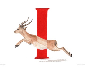 10 'I is for Impala' A6 notecards with envelopes. From animal alphabet artwork. Eco-friendly.