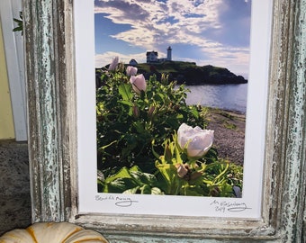 Beautiful Evening at the Nubble Lighthouse