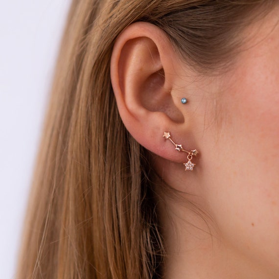 Rose Star Climber Earrings