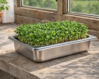 Stainless Steel Microgreens Kit – Plastic-Free Hydroponic Grow Tray – Indoor Microgreens Kit – Soil-Free Windowsill Garden