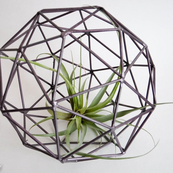 Geometric orb terrarium with tillandsia Air plant, gift, indoor plant, home decor