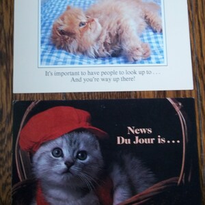Katzen Kätzchen Löwen Tiger 18 Postkarten Happy Birthday Gemischtes Los