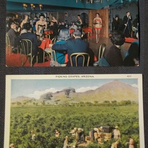 Lot de 6 cartes postales Arizona Safari Hotel Scottsdale Zoo de Phoenix Ranchs de Denver Fers à brandi