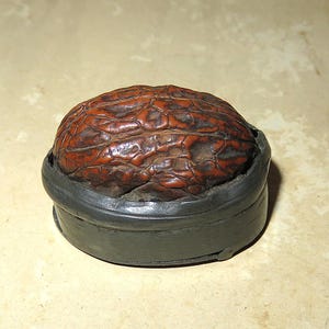 May include: A dark brown, deeply textured walnut shell sits securely inside a smooth, matte black circular base. The walnut features a complex, wrinkled surface pattern with deep ridges and crevices, contrasting with the simple, solid dark band.