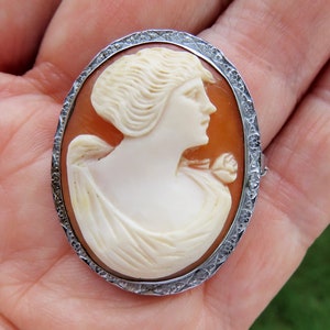 May include: A cameo brooch featuring a woman's profile in white against a peach-coloured background. The cameo is set in a silver oval frame with a delicate floral design.