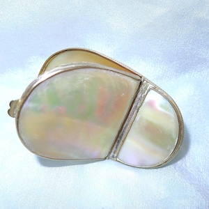 Antique Mother of Pearl Shell Hinged Snuff Box - Victorian Brass Mount MOP Seashell Snuff Box - Hinged Middle - Palais Royal