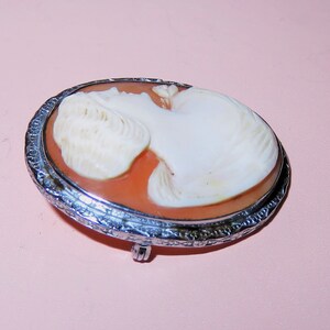 May include: A cameo brooch featuring a carved portrait of a woman's face in white shell against a pink shell background. The cameo is set in a silver-toned oval frame with an intricate design.