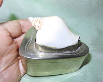 Antique  Engraved Silver Mounted Banded Tulip Shell Box - Snuff Box - Trinket Box - Pill Box-Tobacco Box - Silver Plate Mount Seashell Box
