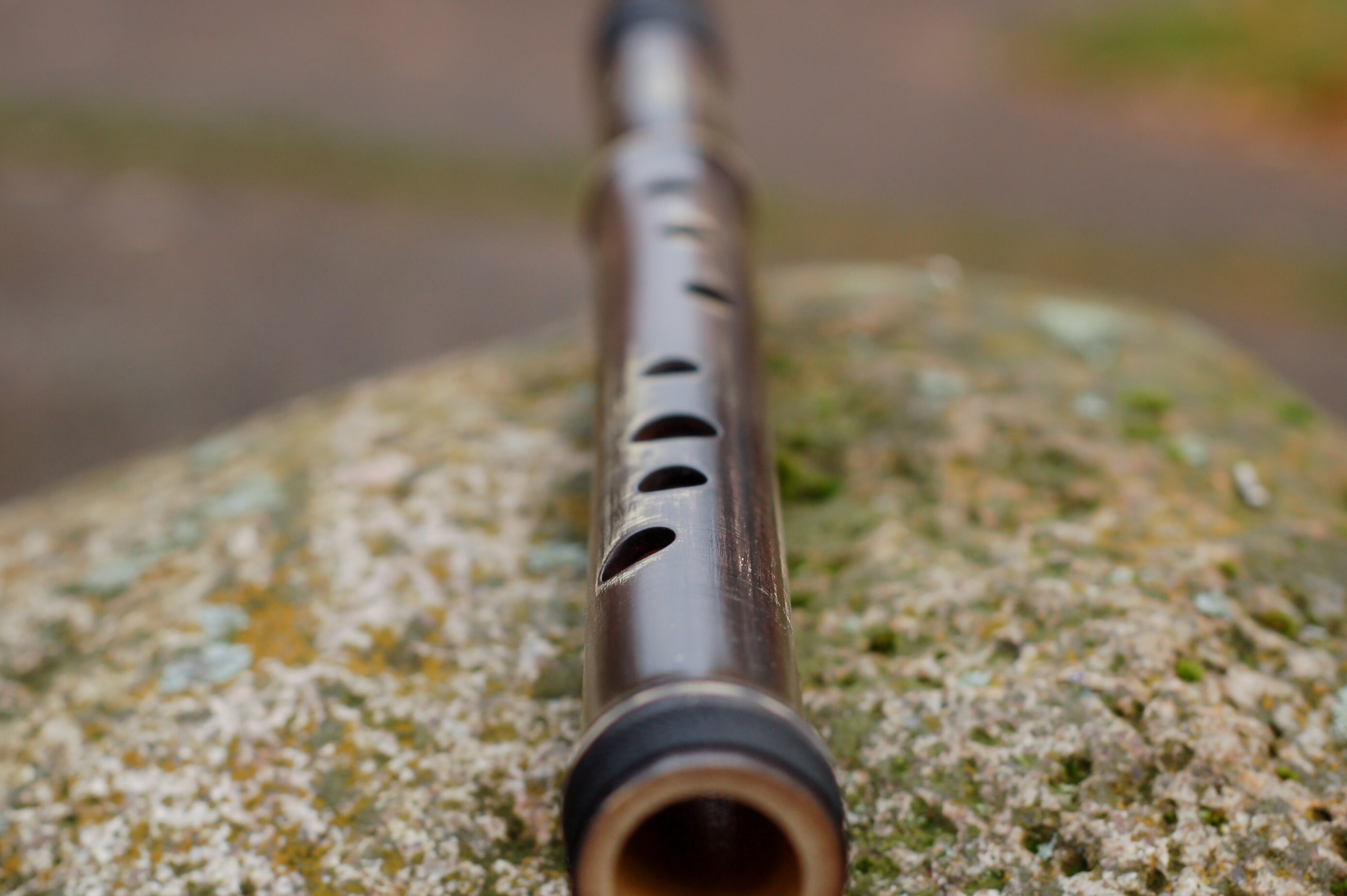 Bamboo Recorder Whistle Flute in G rustic brown Etsy