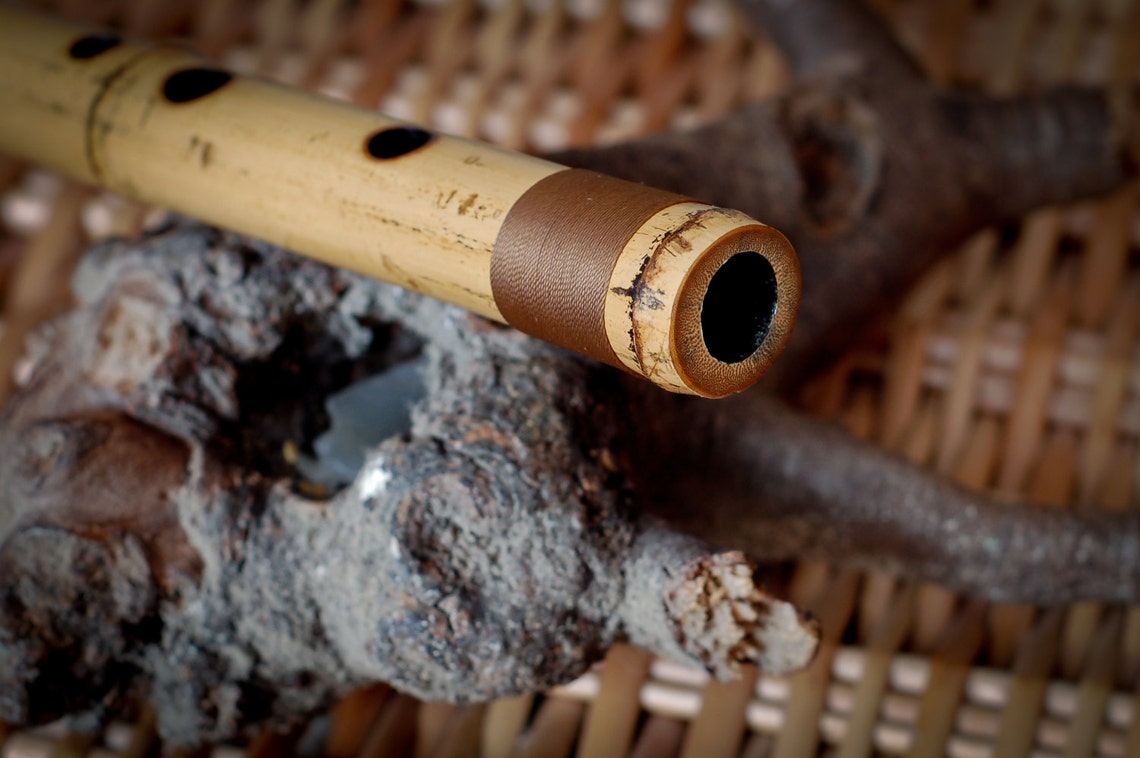 Fipple Bamboo Flute low Whistle Recorder Etsy
