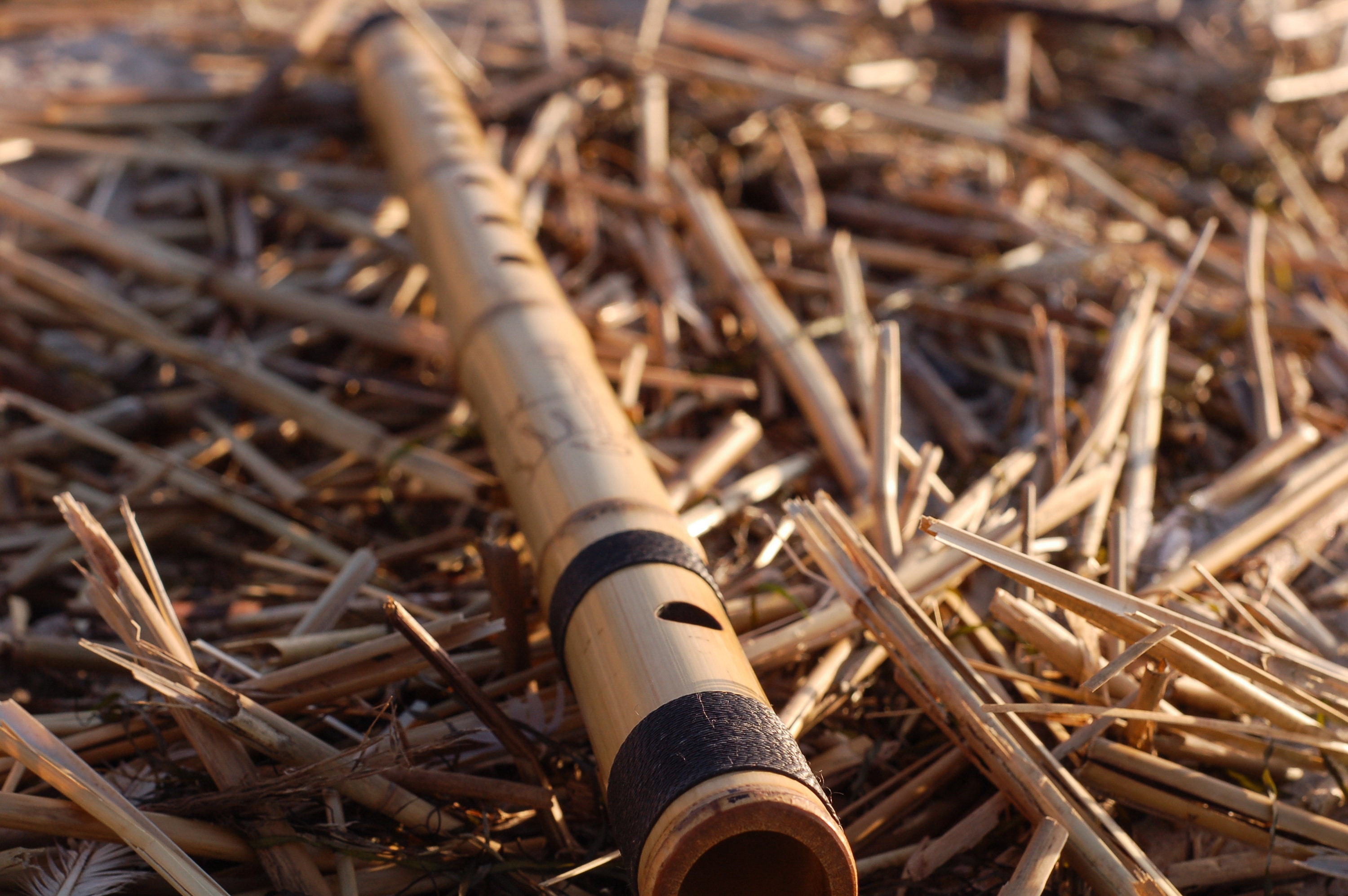 8 Hole Bamboo Flute in C Etsy