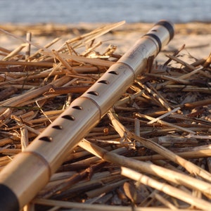 8 hole bamboo flute in C