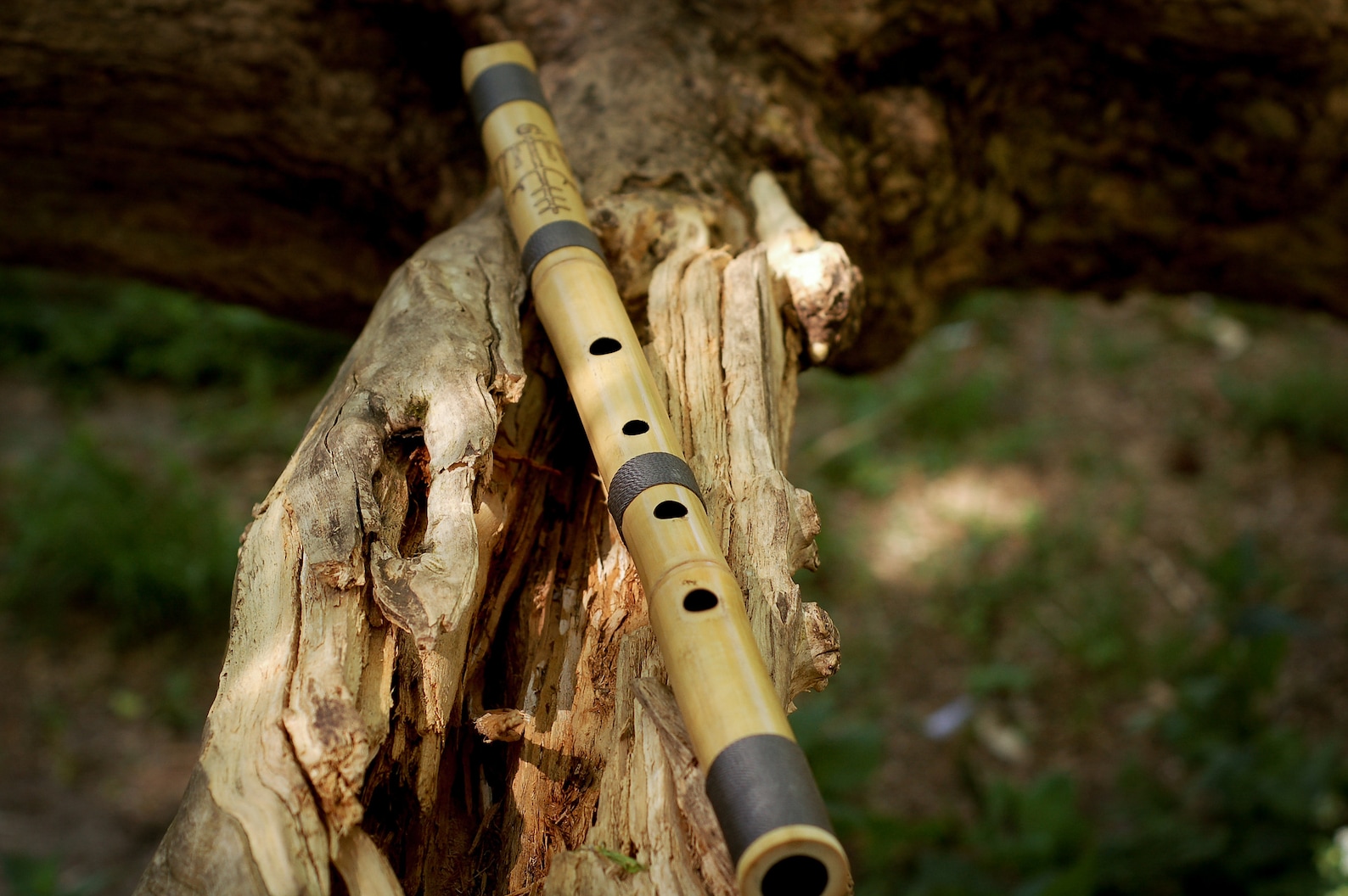 Shakuhachi flute 1.8 D Etsy