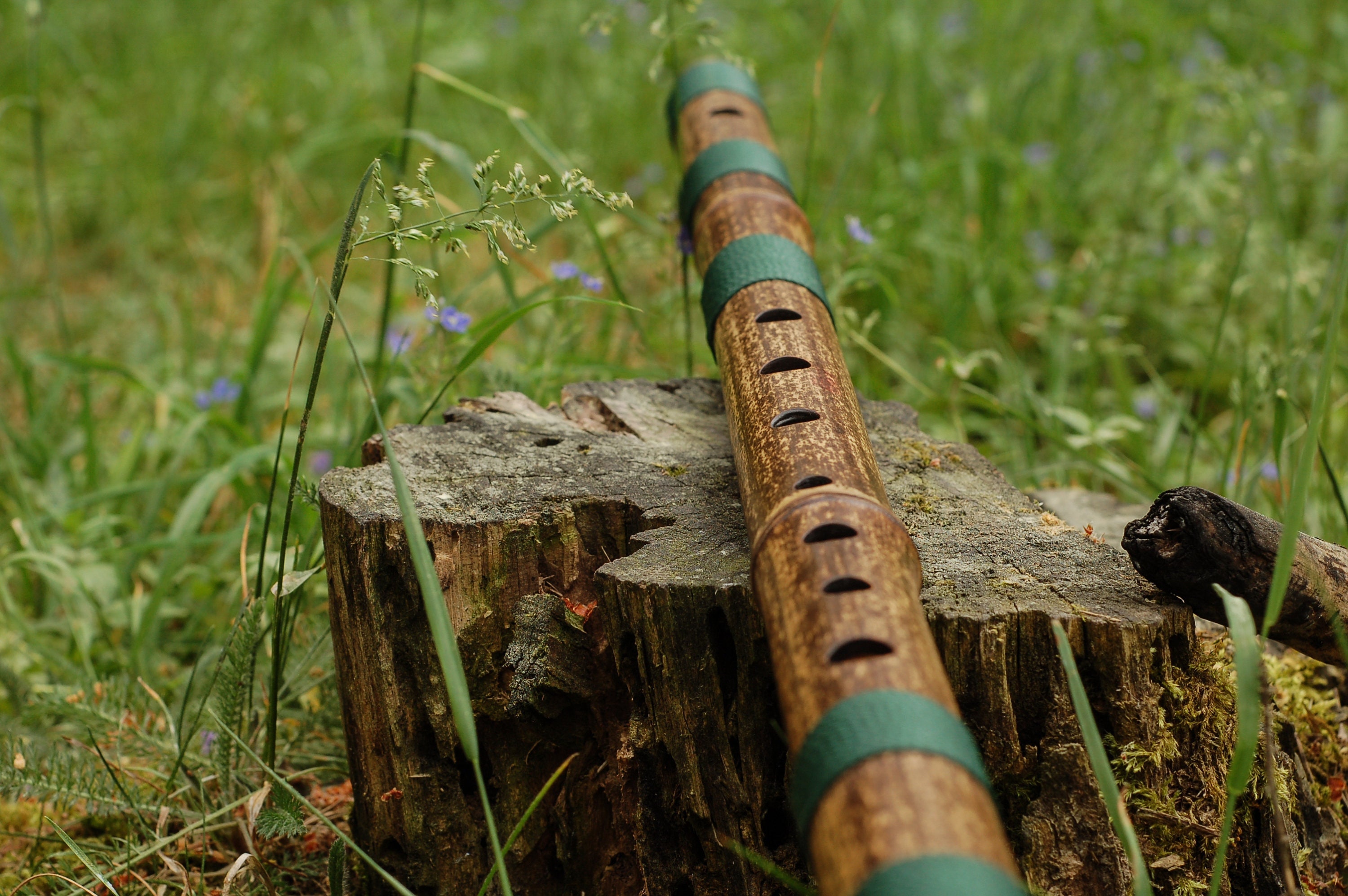 8 Hole Bamboo Flute in C dark - Etsy Australia