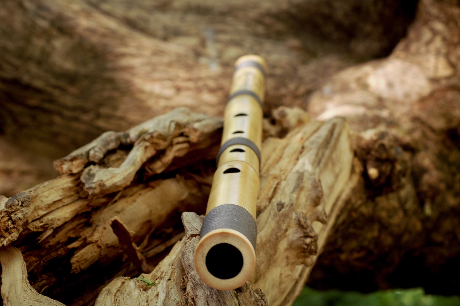 Shakuhachi flute 1.8 D Etsy