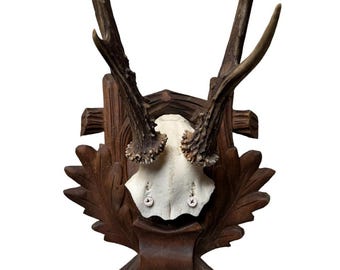 Roe Deer Trophy 182, Black Forest Antlers, Oak Leaf Plaque
