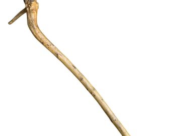 Natural Root Walking Stick with Bird Gargoyle Head, Folk Art Hiking Stick