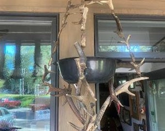 Axis Deer Antler Plant Hanger - Etsy