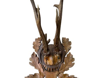 May include: A vintage wooden deer antler mount with carved oak leaves and a shield design. The antlers are a dark brown color, and the wooden base has a natural wood grain finish. The mount includes a pair of crossed rifles.