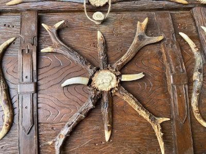 Rare Black Forest Antler Magazine Newspaper Wall Rack - Etsy