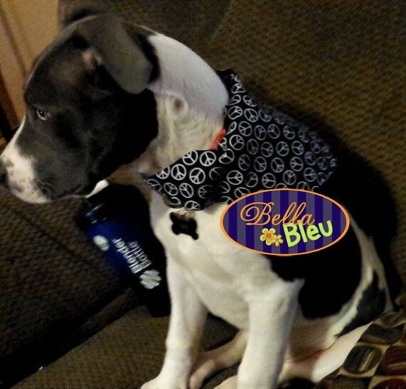 Scarves with cheap dog design
