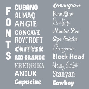 May include: A gray background with white text listing different font names. The fonts are listed in two columns. The left column is labeled "FONTS" and the right column is labeled with the font names.