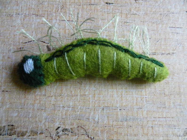 May include: A green felt caterpillar with white stitching and white felt accents. The caterpillar has a segmented body and is curled into a C shape.