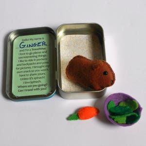 Felt Guinea Pig Travel Wee Altoid Tin Toy