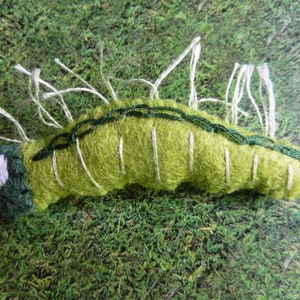 May include: A green felt caterpillar with white and green embroidery. The caterpillar has a white spot on its head and is sitting on a green moss background.