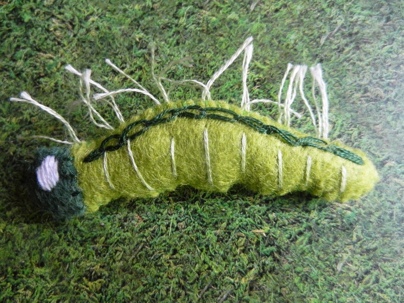 May include: A green felt caterpillar with white and green embroidery. The caterpillar has a white spot on its head and is sitting on a green moss background.