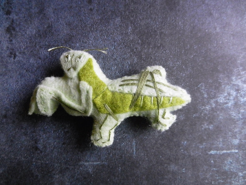 May include: A green and white felt praying mantis with embroidered details. The mantis is lying on its side with its legs outstretched.