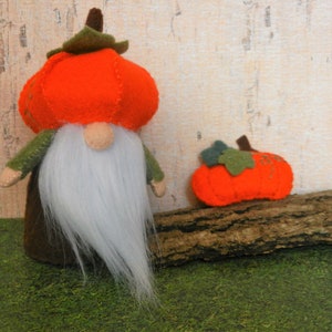 Può includere: Un gnomo di feltro con un cappello a forma di zucca e che tiene una zucca più piccola. Lo gnomo ha una barba bianca e un corpo di feltro marrone. Le zucche sono arancioni con steli verdi.
